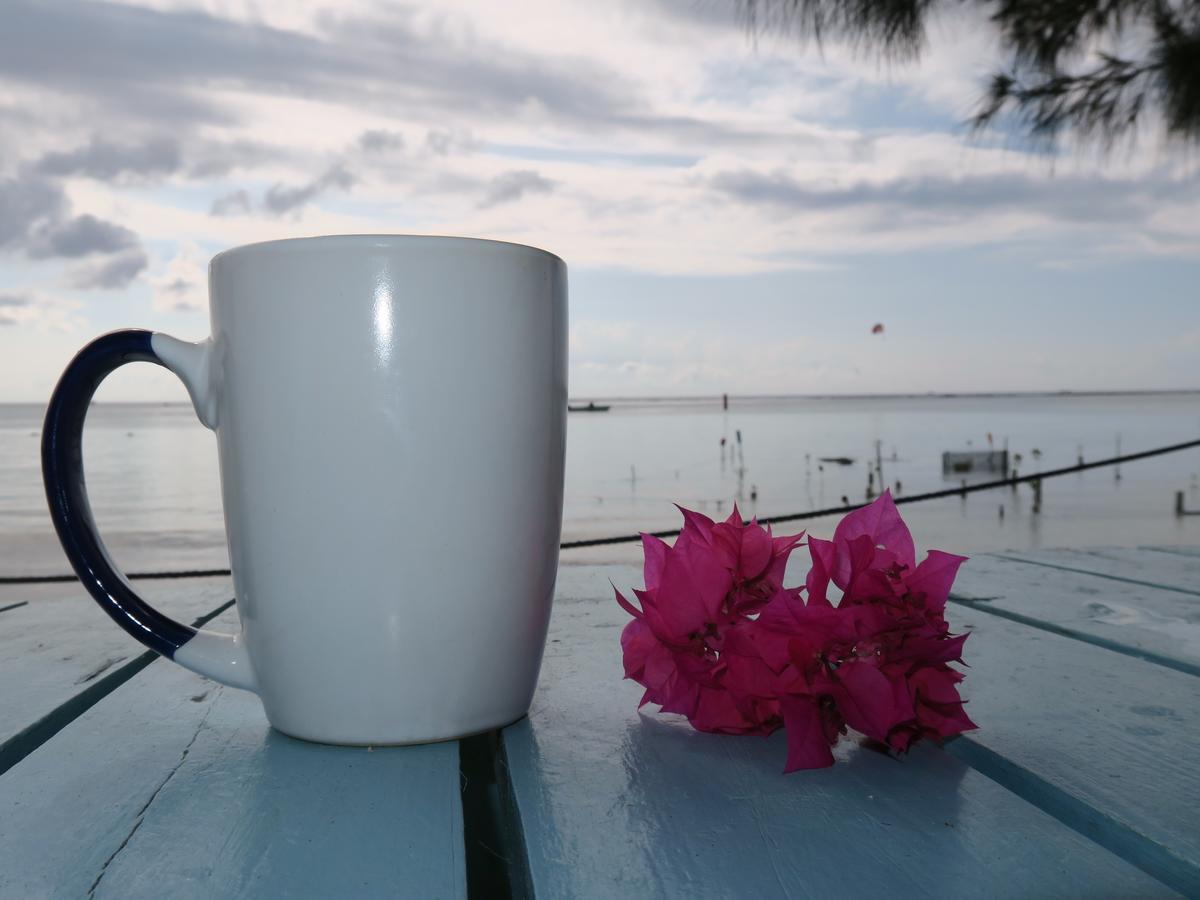 Eco Hotel Club Rolling Stone Boca Chica Exterior photo